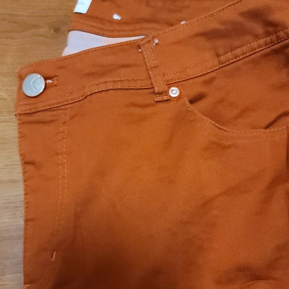 Classic PLUS   High Rise Rust Colored Bootcut Jeans Sized16W - Picture 8 of 13